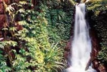 O'Reilly's Green Mountains